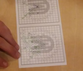 007