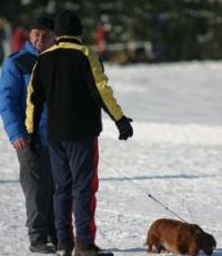 IMG_3276_1
