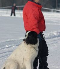 IMG_3327