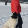 IMG_3327