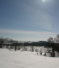 IMG_3784