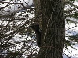 IMG_3826
