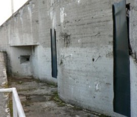 P1010901