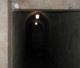 P1010913