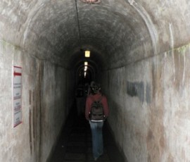 P1010918