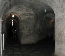P1010919