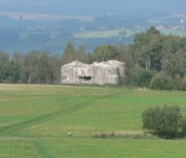 P1010945