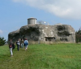 P1010951