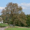 P1010962