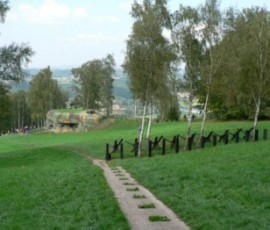 P1010971