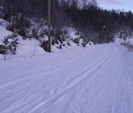 svedsko06